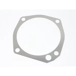 Spicer SHIM .010 515900 