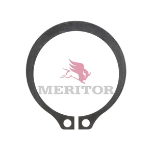 Meritor Lock-Cam 4-315 784526 