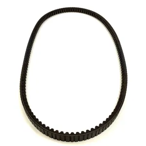 Dayco Accessory Drive Belt 253146 