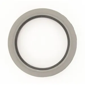 SKF Seal 491000 