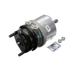 Bendix SPRING BRAKE 421818 