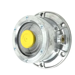 Armada Hub Cap 251896 