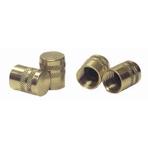 Robinair/Bosch CAP QUICK SEAL 1304640 