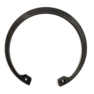 Chelsea Lock Ring - Output Shaft, Pto 253402 