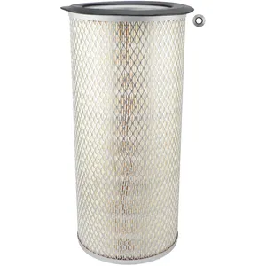 Baldwin AIR FLTER 276666 