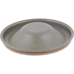 Spicer WELCH PLUG 542198 