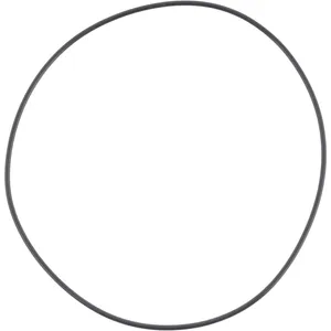 Spicer O-RING 506208 