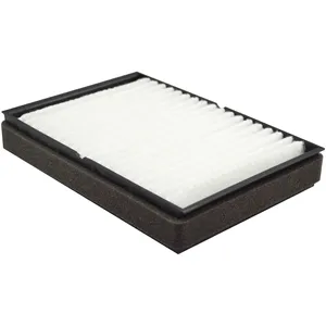 Baldwin Air Element 224666 