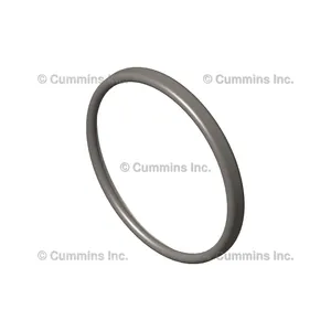 Cummins Seal Exhaust 902916 
