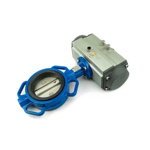 Access Truck Parts Wafer Butterfly Valve (Spring Return) - 2.5 2323531 