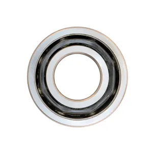 Access Truck Parts Ball Bearing (B3J/B4J) 2323518 