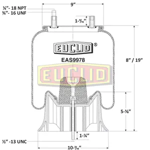 Euclid Air Spring 6350652 