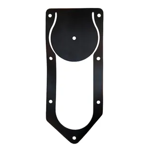Access Truck Parts Pump Clack Gasket (B4Z) 2322739 