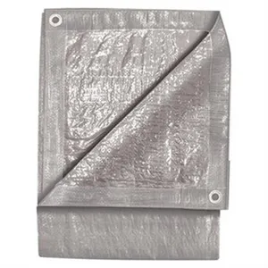 ToolWeb 10' X 12' SILVE 1239774 