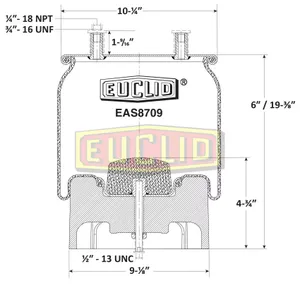 Euclid Air Spring 6351462 