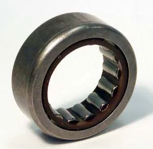SKF Bearing 1795446 