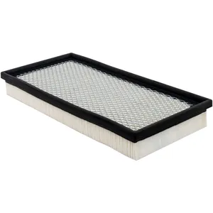 Baldwin AIR ELEMENT 927828 