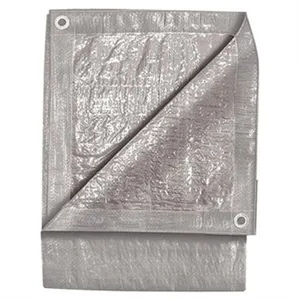 ToolWeb 10' X 15' SILVE 1435006 