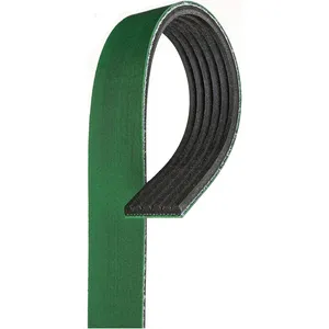 Gates Belt - Multigroove, Serpentine 238666 