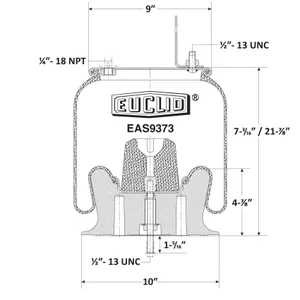 Euclid Air Spring 6350264 