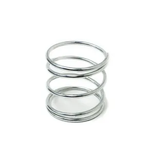 Access Truck Parts Valve Spring, Bertolini 2323731 