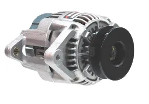 Wilson Alternator RX 2916543 