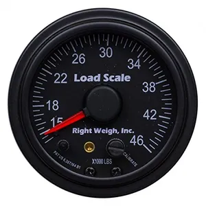 Right Weigh SCALE,DSH 899870 