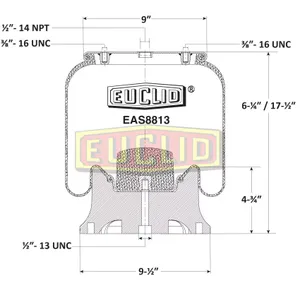 Euclid Air Spring 6351130 