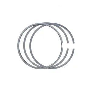 PAI Ring Set, Piston 255696 