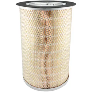 Baldwin Air Filter 276220 