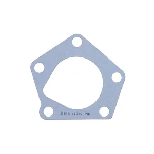 PAI Gasket 258090 