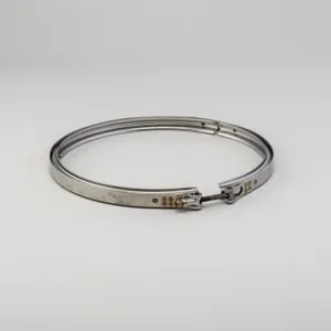 Donaldson Exh Clamp 917882 