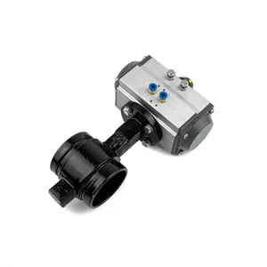 Access Truck Parts Groove Butterfly Valve (Air Open/Close) -... 2322681 