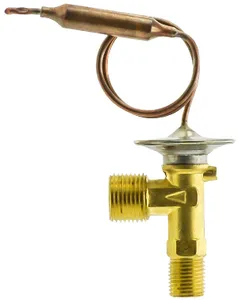 TruckAir Exp. Valve - Int. Equalized 1880711 