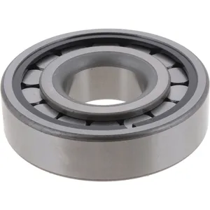 Spicer Differential Pilot Bearing 215636 