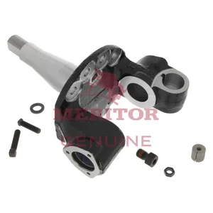 Meritor Knuckle & Kit 2725481 
