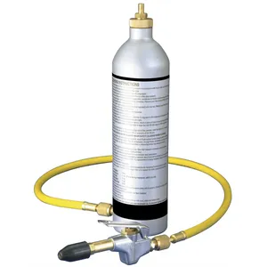 Mountain FLUSH KIT 1298504 