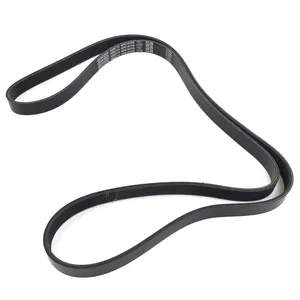 Dayco Serpentine Belt 250906 