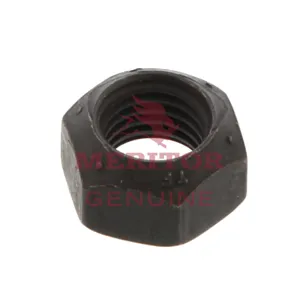 Meritor Locknut 770176 