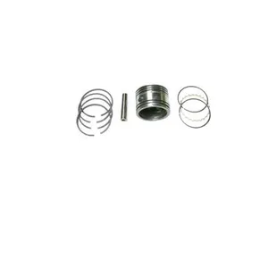 Haldex PISTON RNG KT 673064 