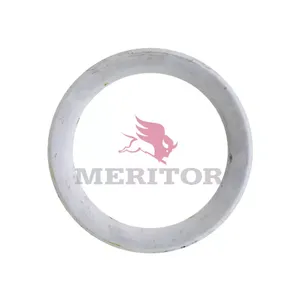 Meritor SLINGER-OIL,FIN 1538007 