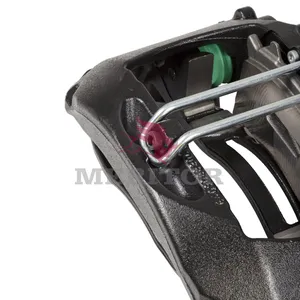 Meritor MAXXUS CLPR SE 1765732 
