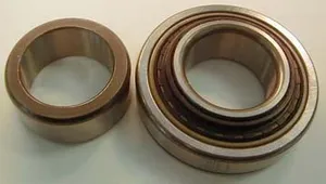 SKF Bearing 1783002 