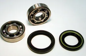 SKF Bearing 1786847 
