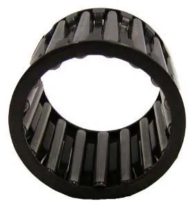SKF Bearing 1786109 