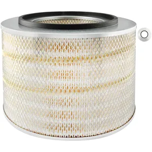 Baldwin Air Element 236494 