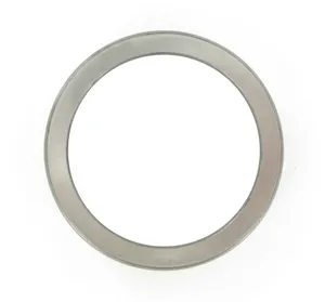 SKF Bearing Race 1787260 