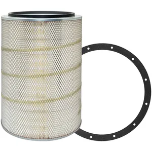 Baldwin AIR FILTER 293424 