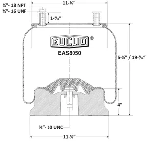 Euclid Air Spring 6351014 