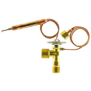 TruckAir Exp. Valve - Ext. Equalized 1881771 